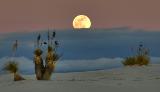 White Sands National Monument von snowpeak